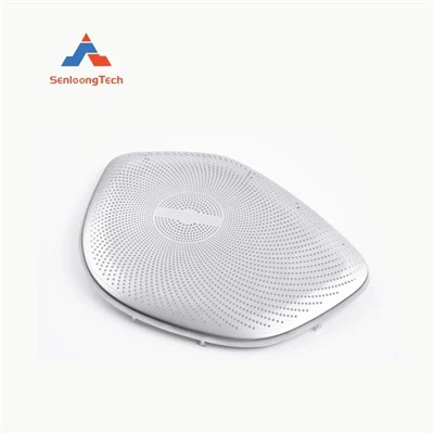 Grille de haut-parleur en acier inoxydable